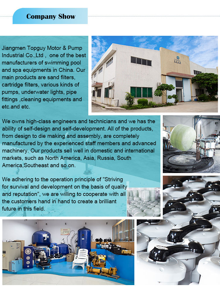 SF Swimming Pool 304 Échelle à 3 marches en acier inoxydable avec poignée