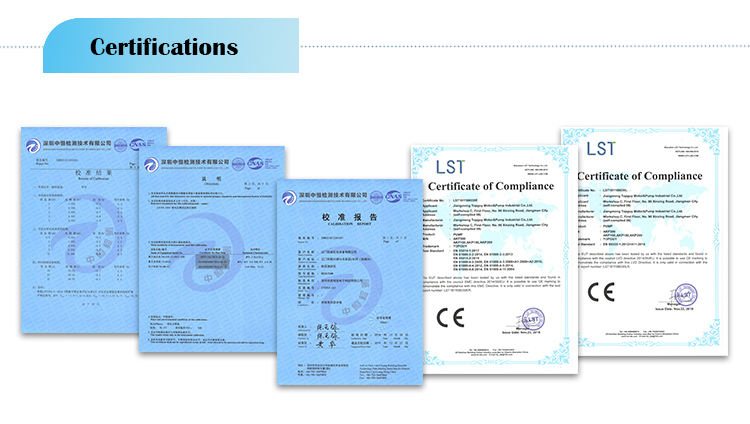 SF Swimming Pool 304 Échelle à 3 marches en acier inoxydable avec poignée