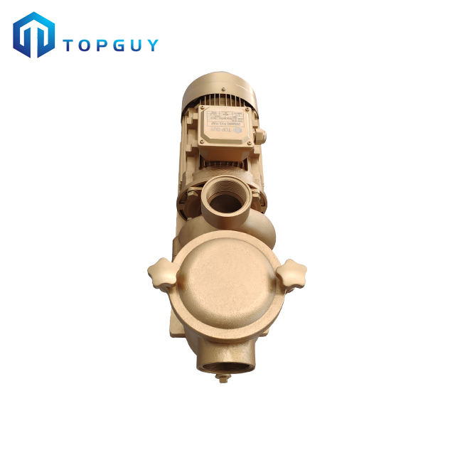 pompe &agrave; eau pour piscine