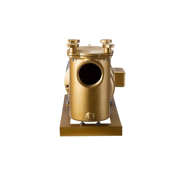 pompe &agrave; eau &eacute;lectrique