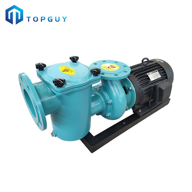 above ground pool pumps