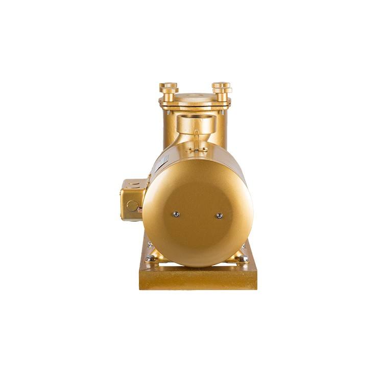 pompes &agrave; eau &eacute;lectriques