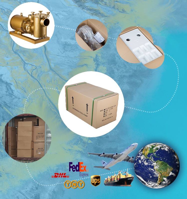 electric water pump sbc