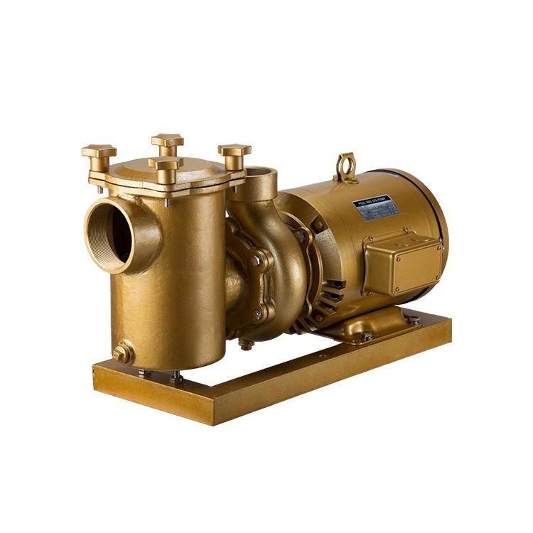 pompe &agrave; eau &eacute;lectrique