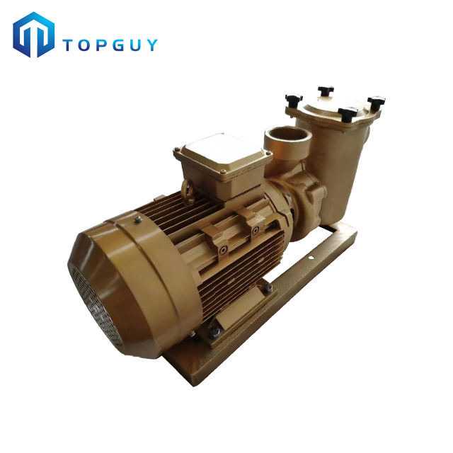 hayward variable speed pool pumps