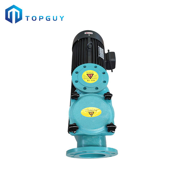 pool filter pump