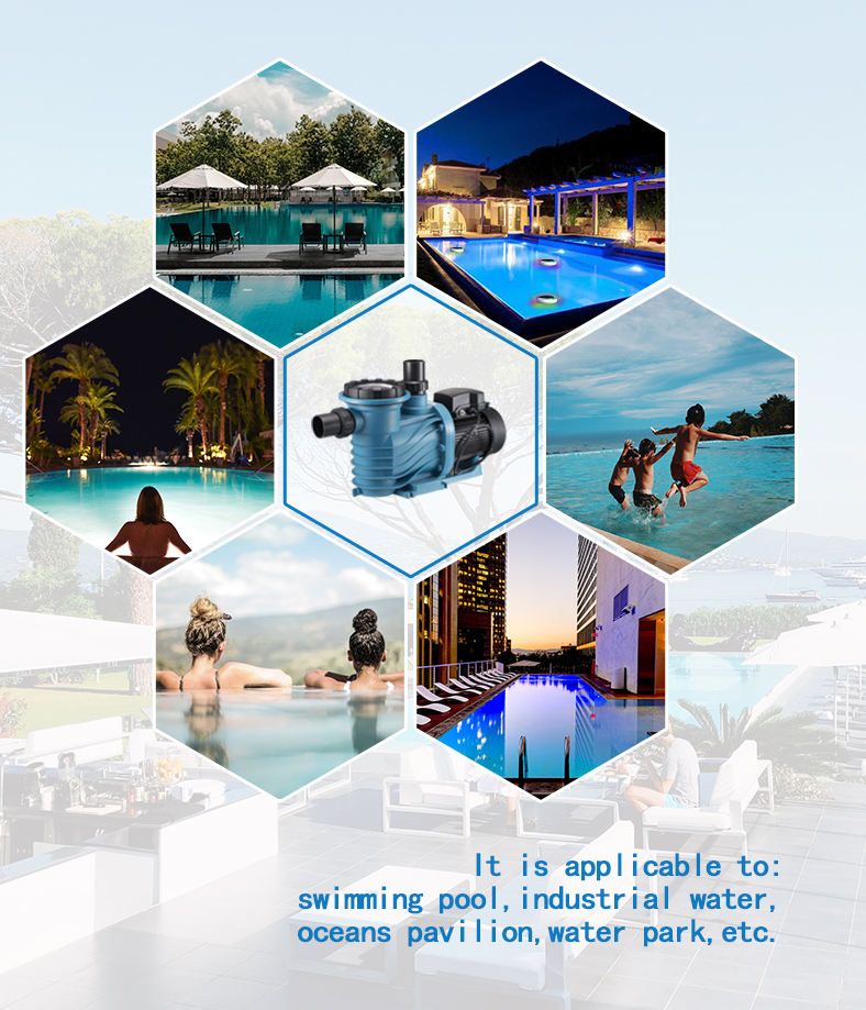 Pompe &agrave; eau variable 