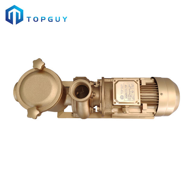 pompe &agrave; eau pour piscine