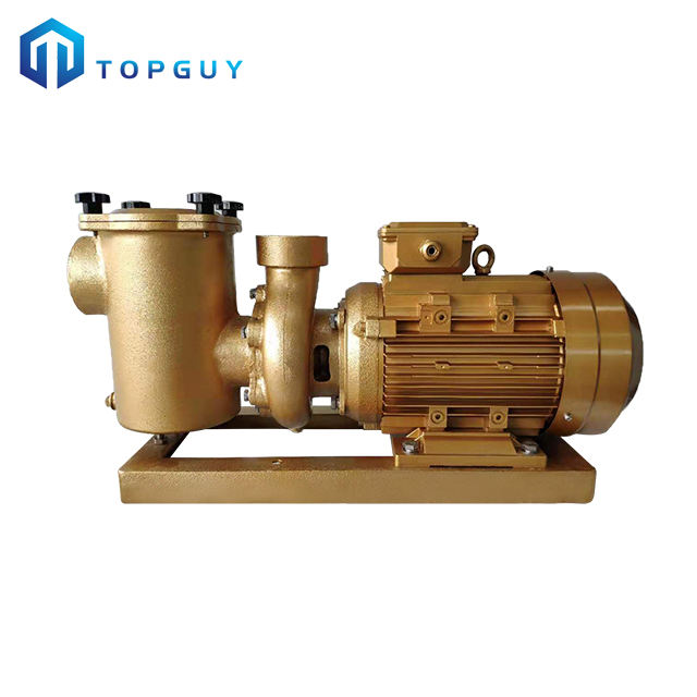 pentair superflo vs variable speed pool pump manual