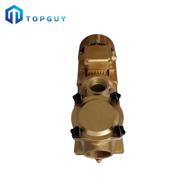 jandy pool pump variable speed