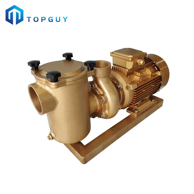 jandy variable speed pool pump