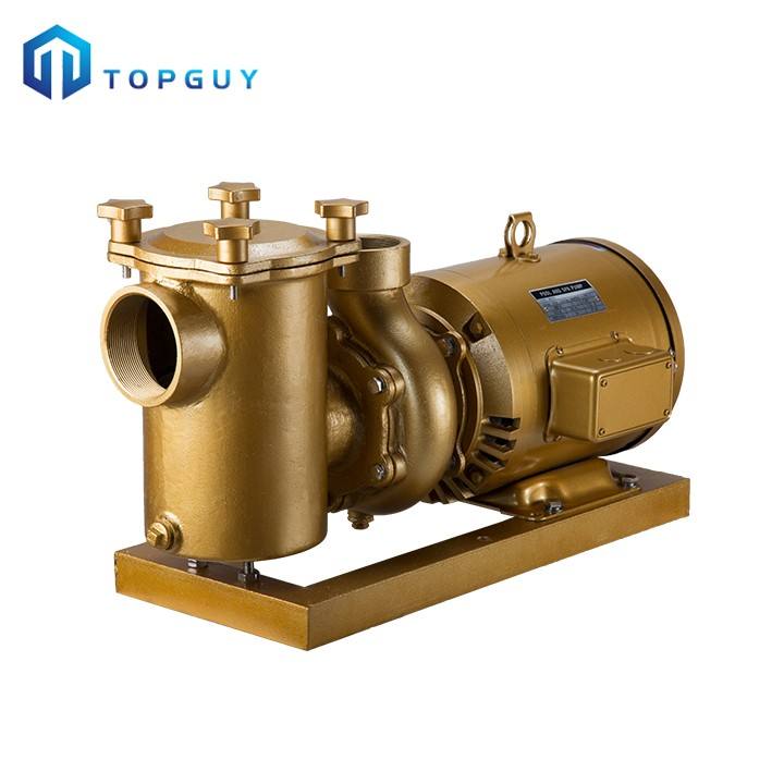 محرك المضخة لحمام السباحة